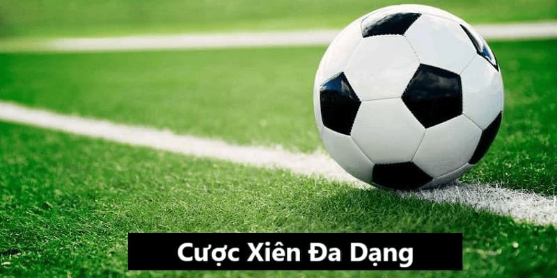 Cược Xiên Đa Dạng - Chiến Thắng Với Lợi Nhuận Không Tưởng